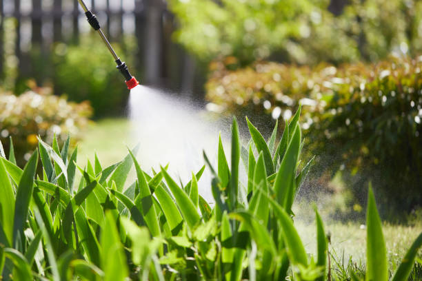 24/7 Emergency Wasp Removal experts in Bellevue, IL